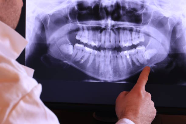 Best Emergency X-Rays and Diagnostics in Lake Landor, VA